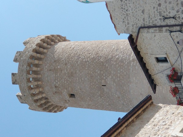 1 1